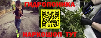 гидра Рузаевка