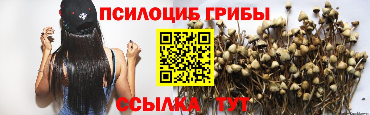 купить закладку  Галлюциногенные грибы ЛСД  Вход с VPN  Назарово  Галлюциногенные грибы Cubensis 