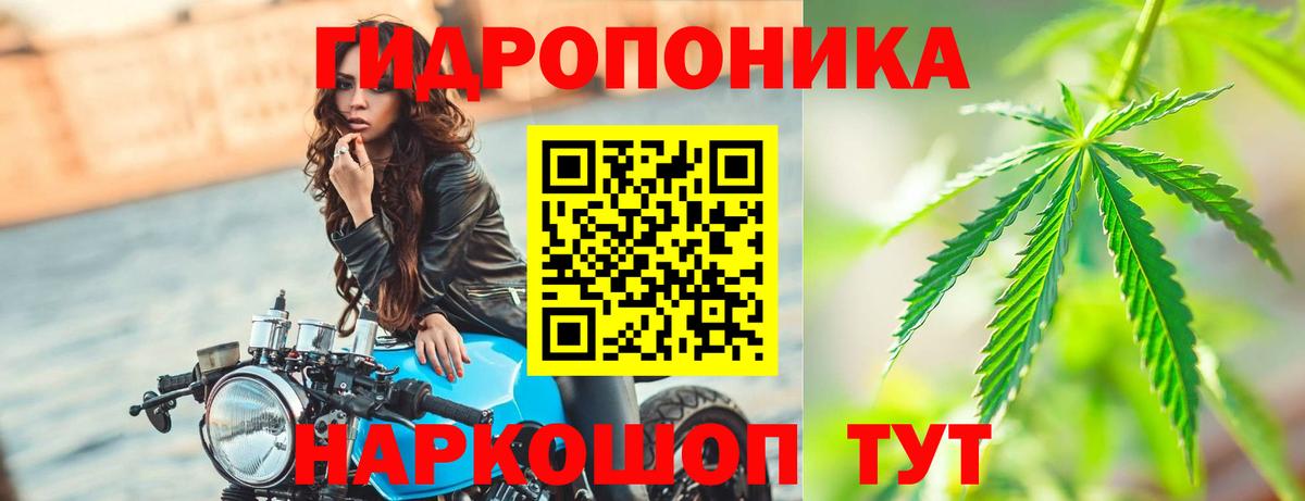 Конопля White Widow  МАРИХУАНА White Widow  Назарово  Вход с VPN  Канабис VHQ  Марихуана планчик 